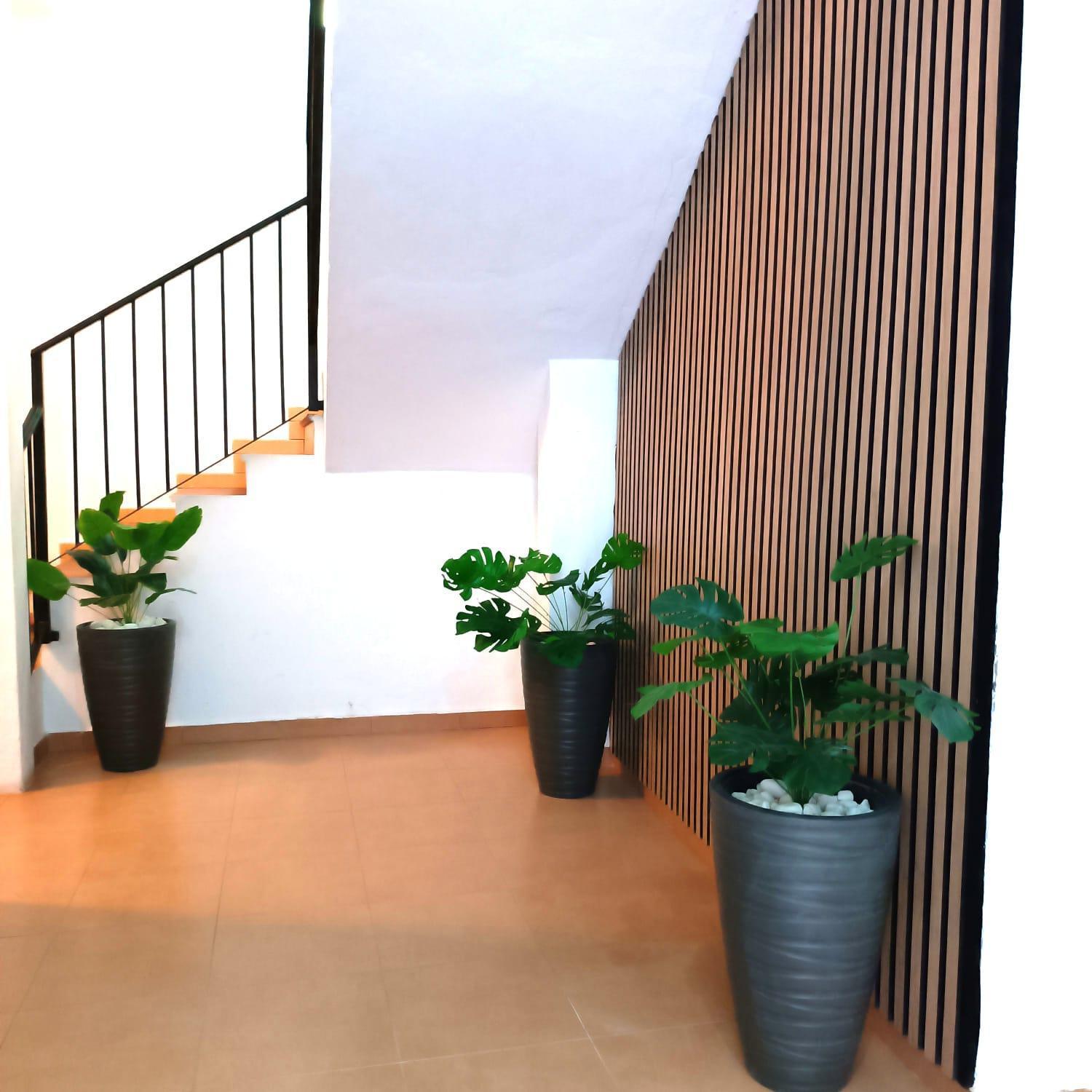 Apartamentos Duende Malaga Zewnętrze zdjęcie